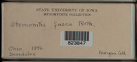 Image Associated With the Occurence